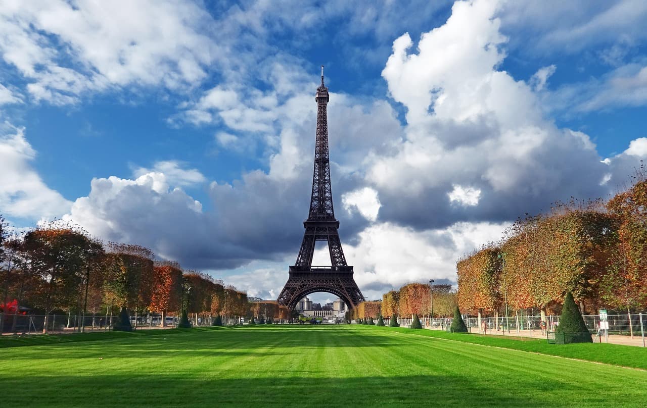 Hotels/Tour Packages
